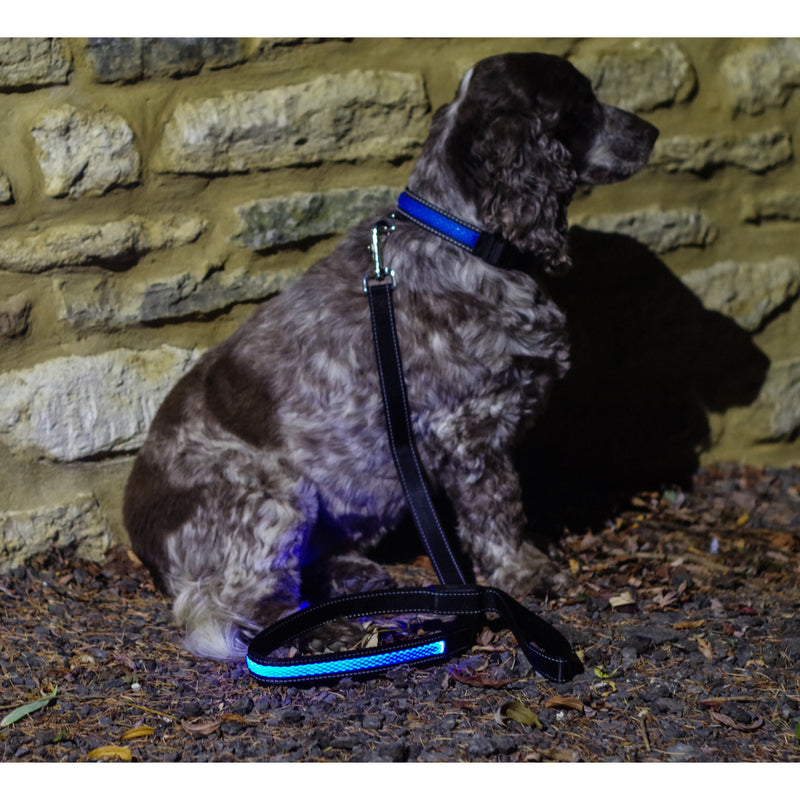 Blue LED Light up Dog Lead