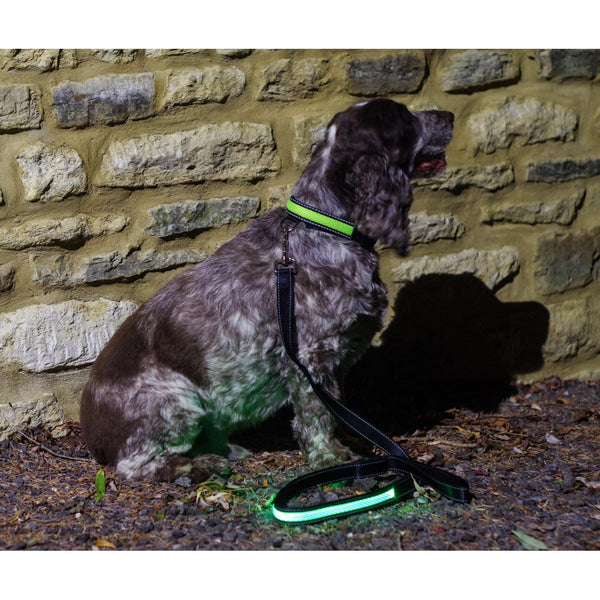 Green LED Light up Dog Lead