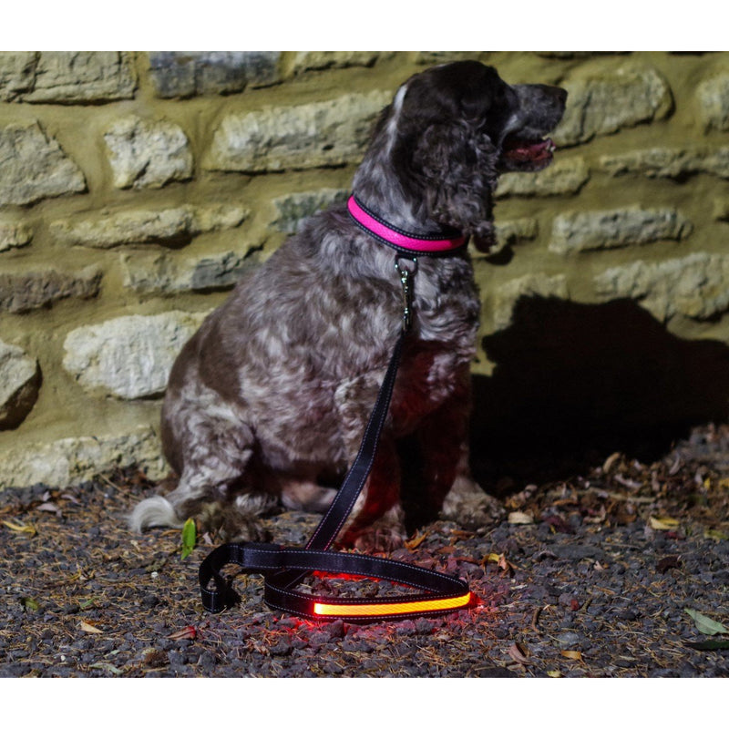 Pink LED Light up Dog Lead