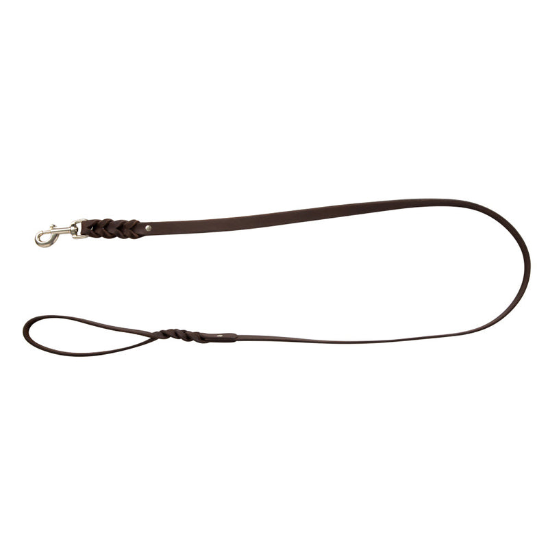 Adventurer Leather Dog Leash