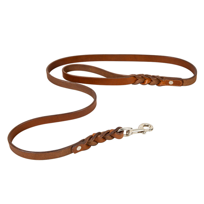 Explorer Leather Dog Leash